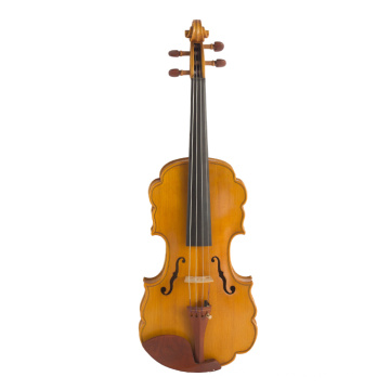 Jujube Parts Laciness Violon